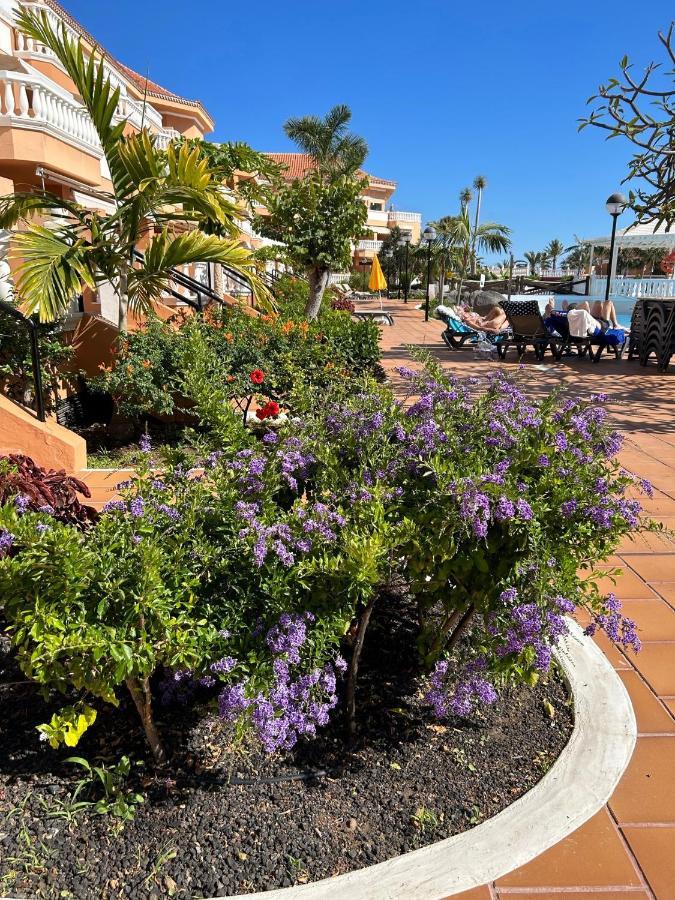 Comfort Apartment En Tenerife Royal Gardens Playa de las Americas  Exterior photo